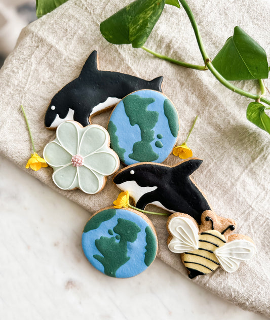 Earth Day Cookie Set
